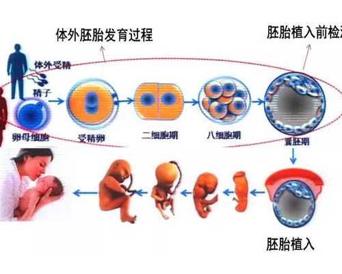 蚊香液含量8对宝宝有影响吗-包男孩代怀