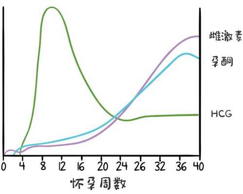 深圳代生男宝代怀男孩,泰东方（深圳）—中泰第三代试管学术交流会议