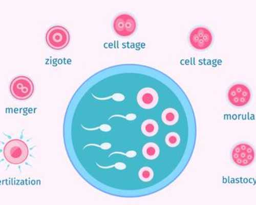 深圳试管婴儿,深圳市第三代试管婴儿如何做到一次成功？