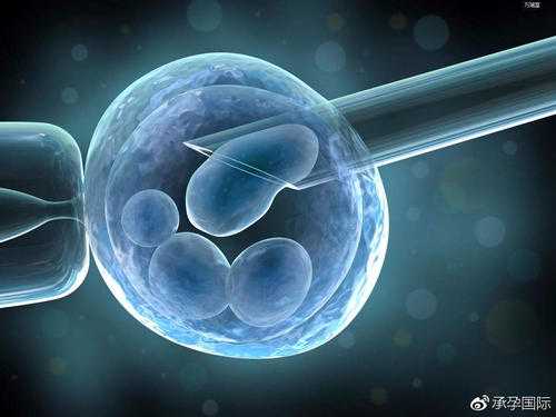 周口哪里能供卵_北大医院做试管婴儿冷冻胚胎数量有限制吗？