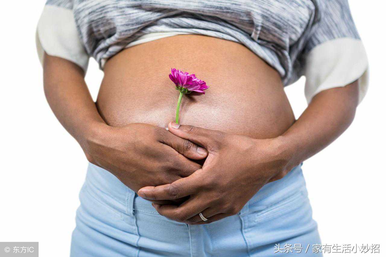 深圳紫朵朵供卵中心在哪里_深圳供卵推选孕妈妈_胎儿在肚子里每个月的变化