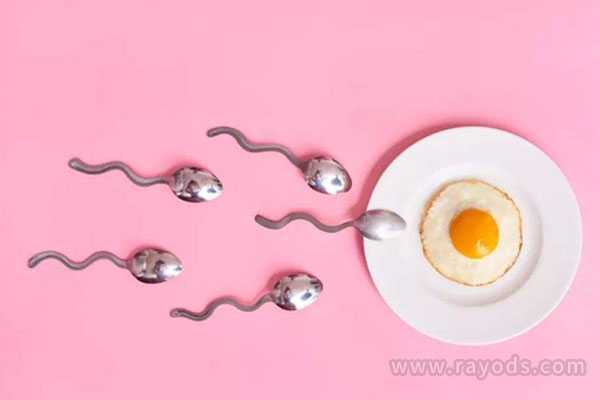 秀山可以做供卵试管吗_美国试管婴儿：基础卵泡少用什么促排卵方案？