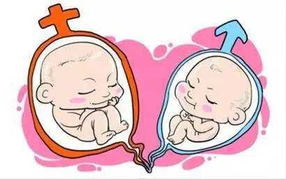 岳阳医院代孕_夫妻具备生育能力还可以选择试管婴儿助孕吗？