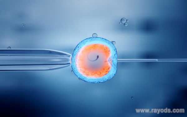 黄石代孕哪个公司最专业_胚胎反复停育到底怎么了?看美国试管婴儿如何应对！