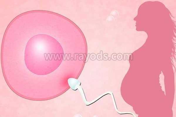 张家界试管代孕 包性别_试管婴儿有哪几种移植的胚胎？哪种成功率最高?