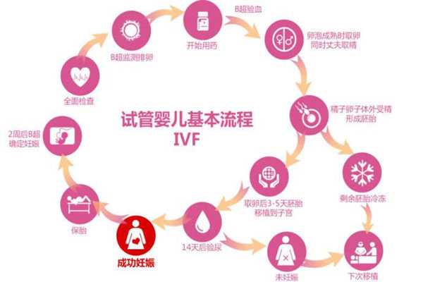 香港供卵代孕公司_香港怎么才可以代孕_三代试管婴儿全部过程要多长时间？