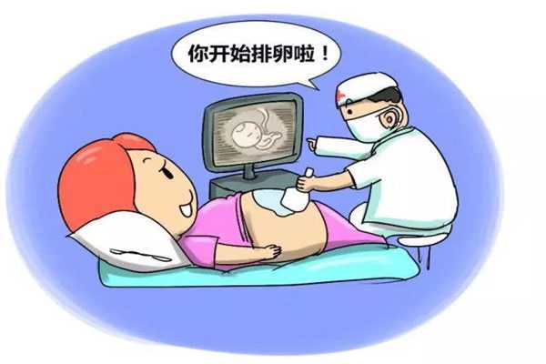 香港供卵代孕公司_香港怎么才可以代孕_三代试管婴儿全部过程要多长时间？