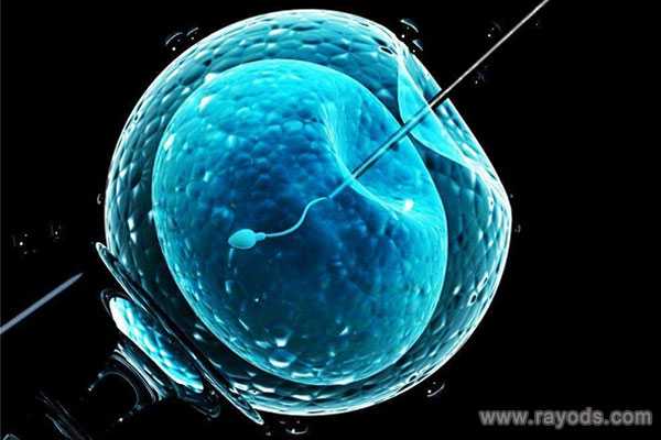来宾最好的做代孕医院_试管婴儿可以做性别鉴定吗新鲜胚胎做囊胚成功率高
