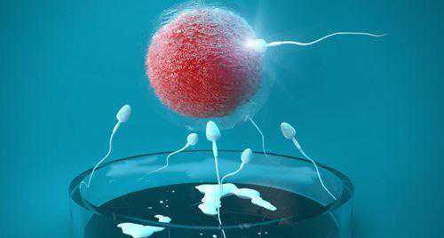 吉安哪里可以帮人代孕_试管移植胚胎种类区别