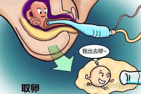 达州正规代孕医院地址_达州最好的代孕中心_8个技巧助你度过香港试管婴儿2周